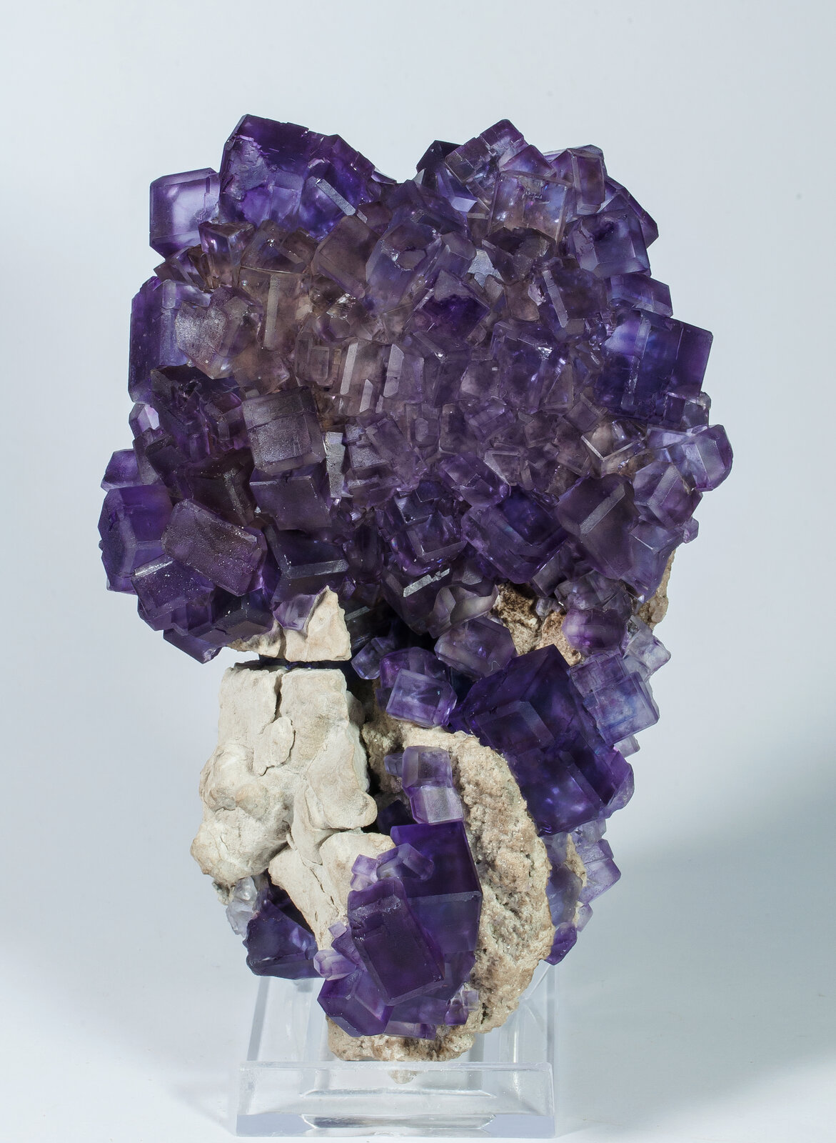 specimens/s_imagesAN6/Fluorite-JFD25AN6r.jpg