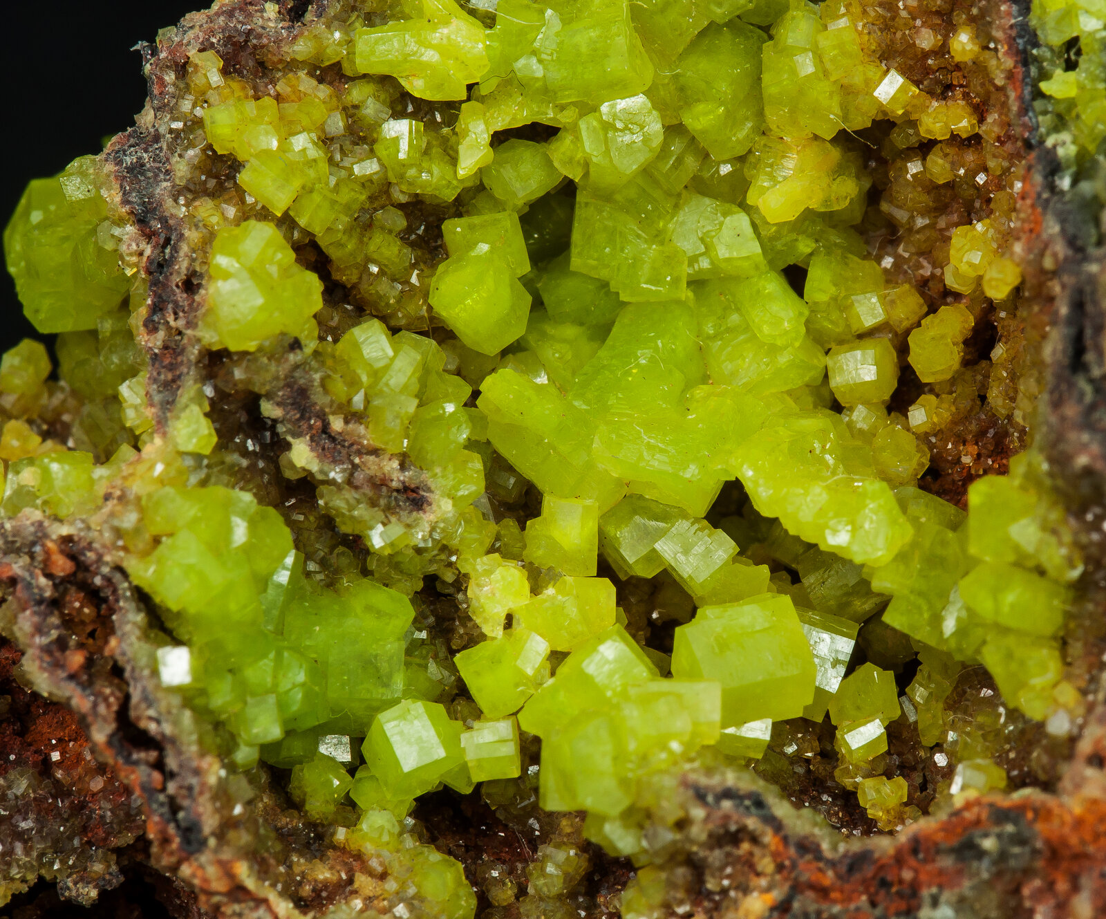 specimens/s_imagesAN6/Pyromorphite-JFD27AN6d.jpg