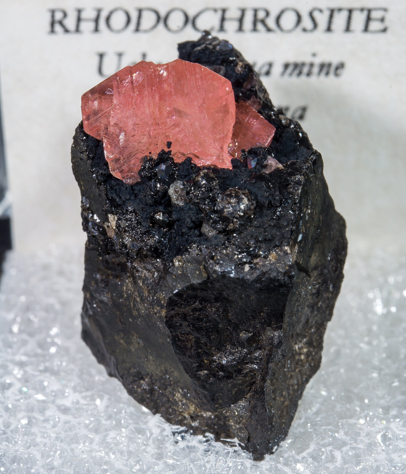 specimens/s_imagesAN6/Rhodochrosite-THM27AN6f2.jpg