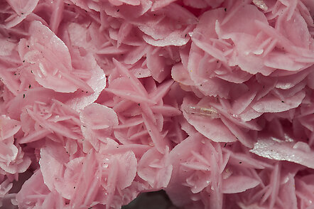 Rhodochrosite with Quartz. 