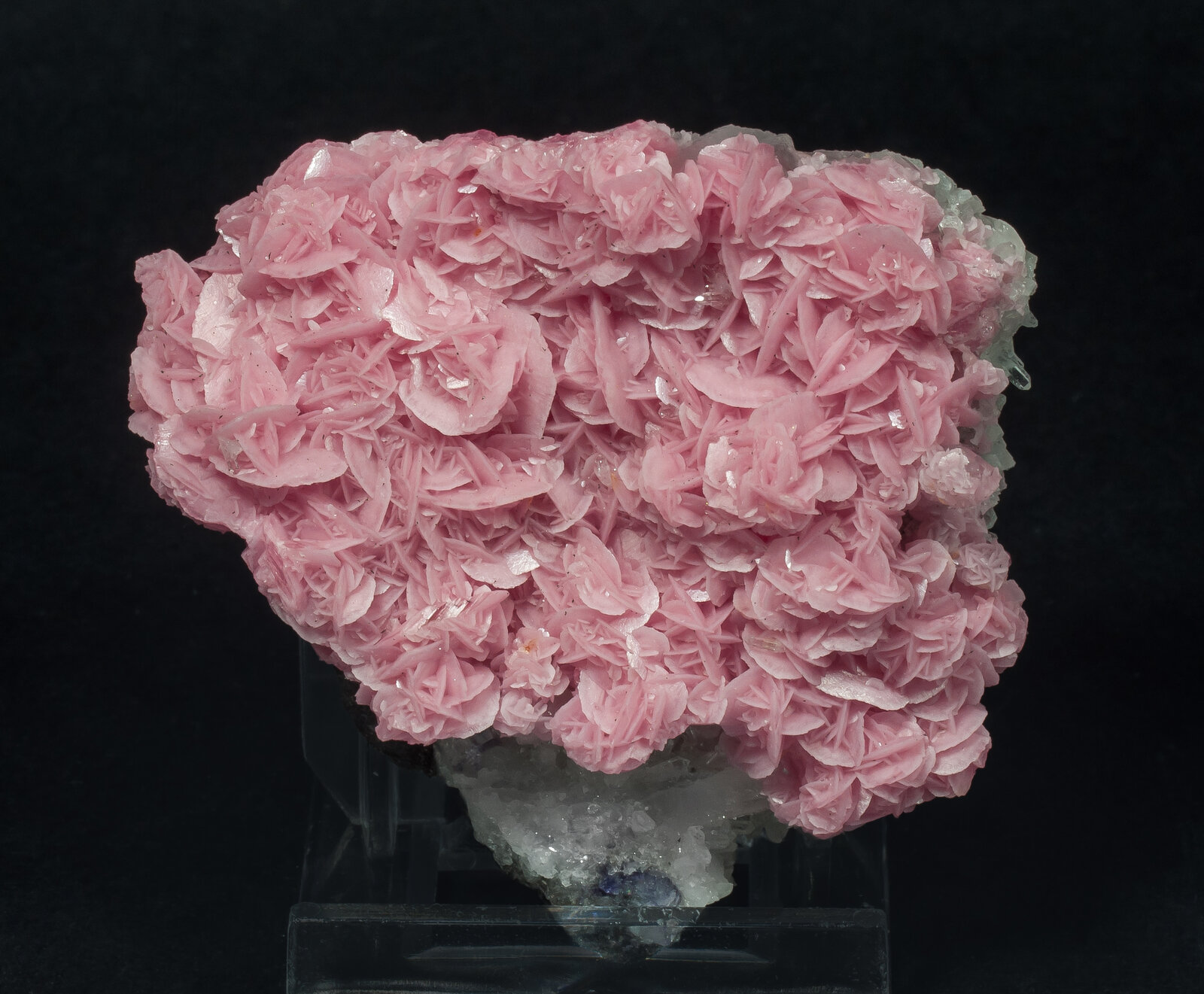 specimens/s_imagesAN6/Rhodochrosite-TRF16AN6f.jpg