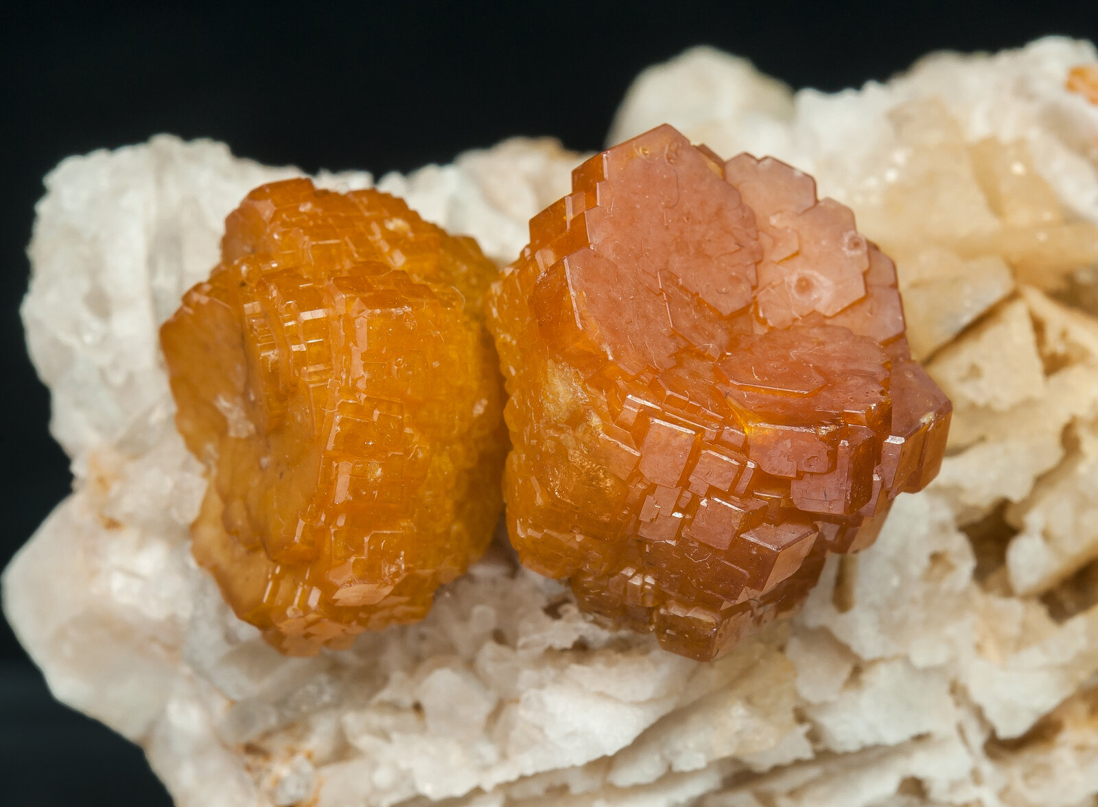 specimens/s_imagesAN6/Vanadinite-JFD26AN6d.jpg