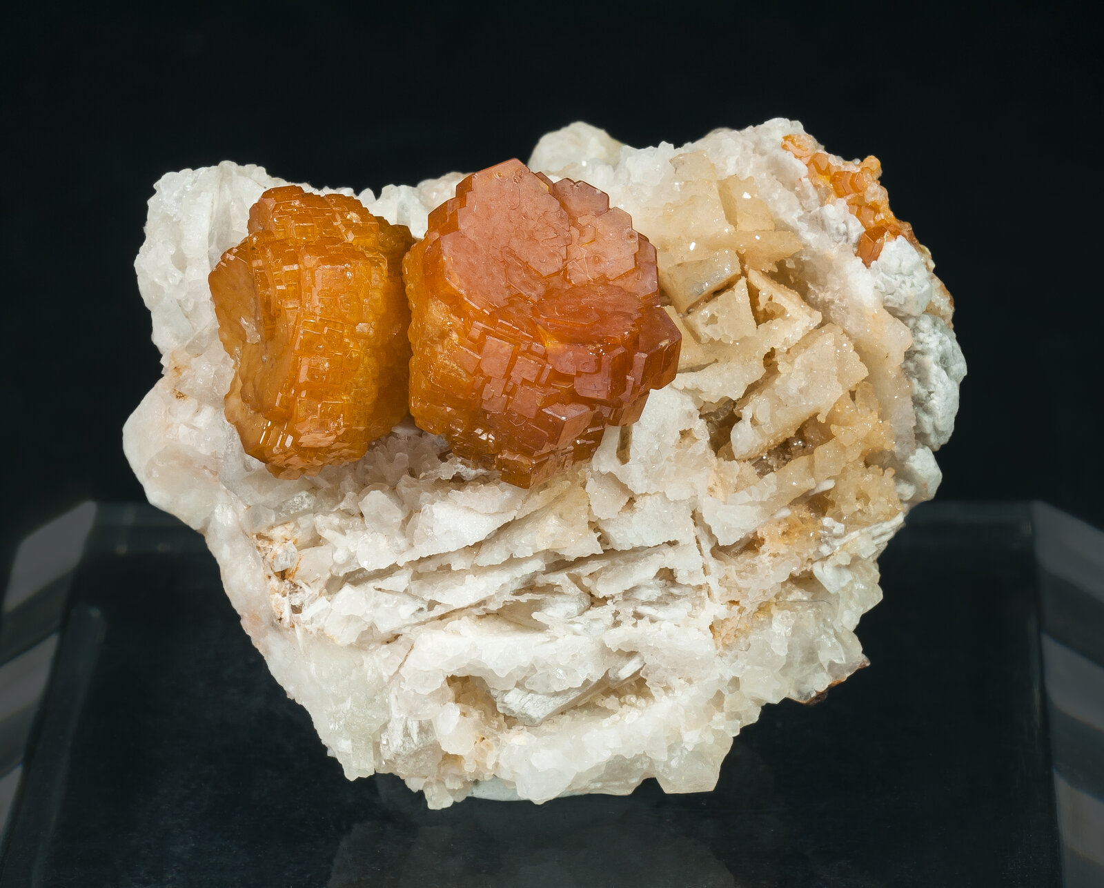 specimens/s_imagesAN6/Vanadinite-JFD26AN6f.jpg