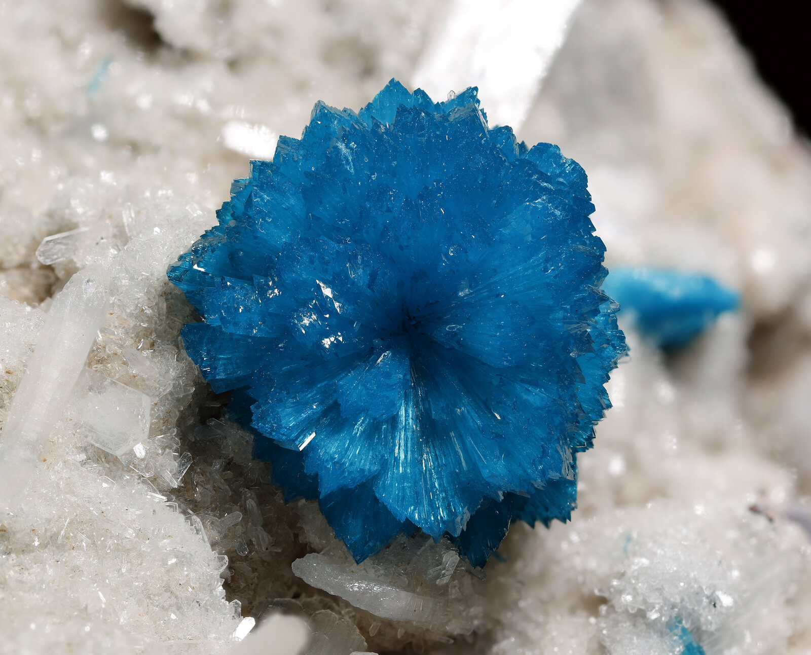 specimens/s_imagesAN7/Cavansite-NNM49AN7_1308_d.jpg