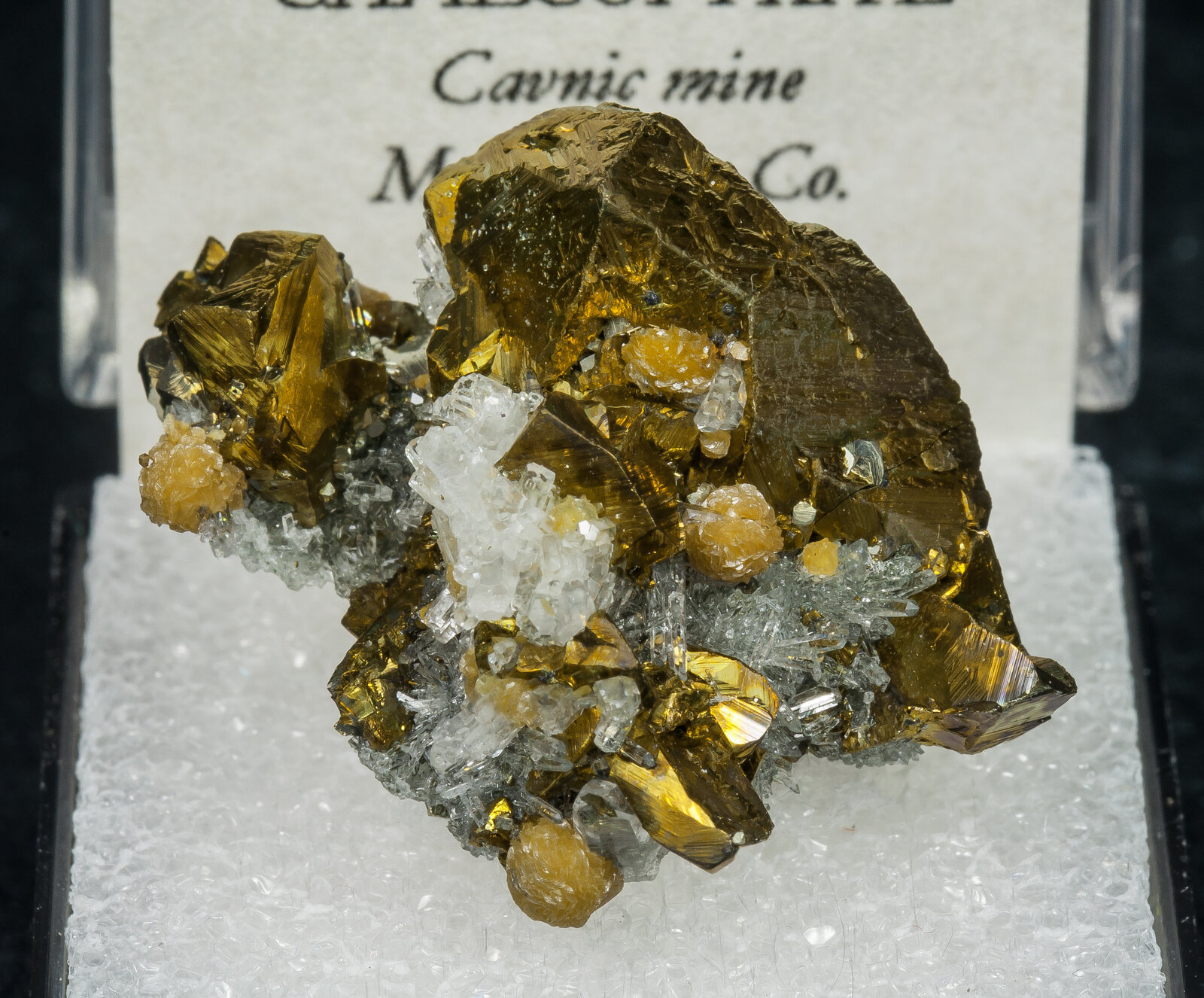 specimens/s_imagesAN7/Chalcopyrite-TBJ14AN7f2.jpg