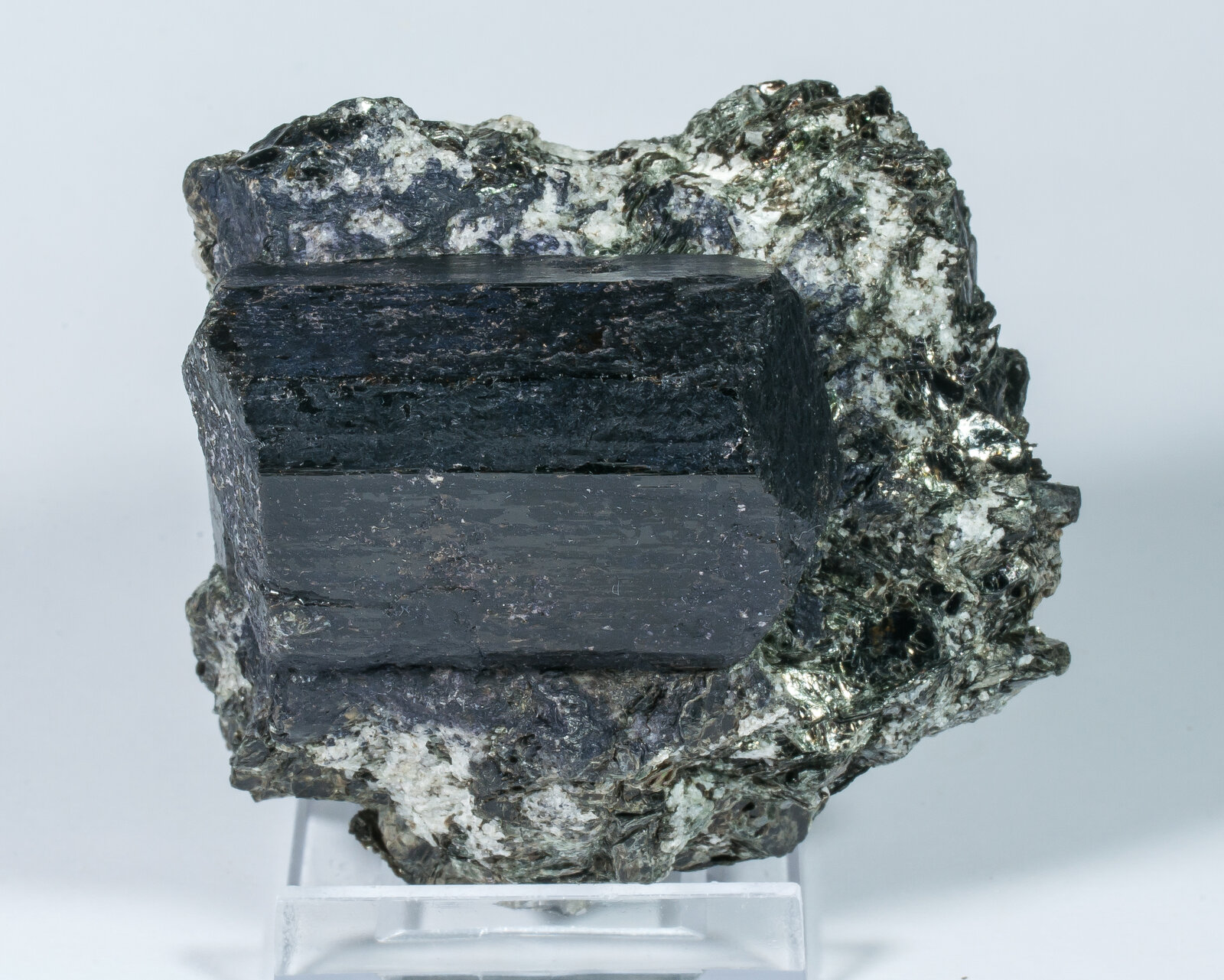 specimens/s_imagesAN7/Dravite-TFA86AN7f.jpg