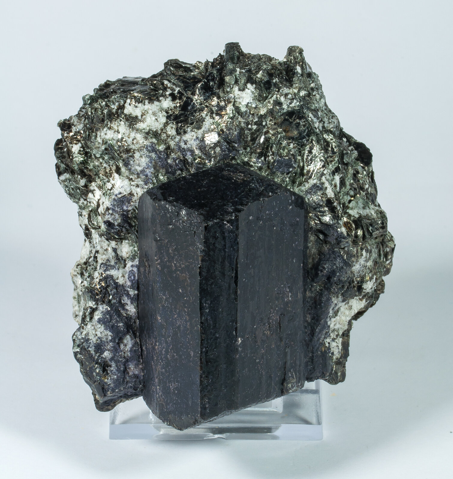 specimens/s_imagesAN7/Dravite-TFA86AN7s1.jpg