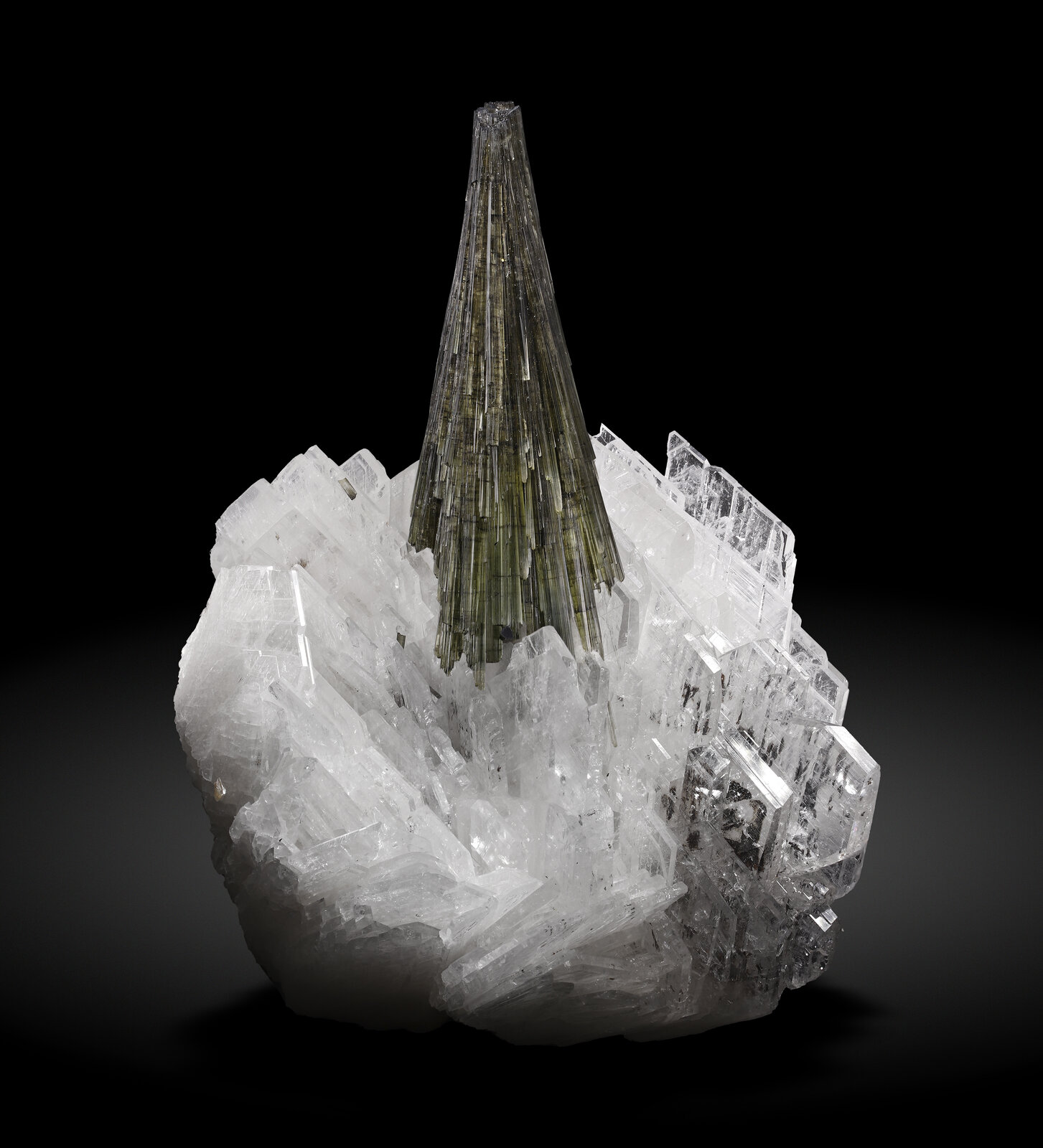 specimens/s_imagesAN7/Elbaite-ETB16AN7_1632_f.jpg