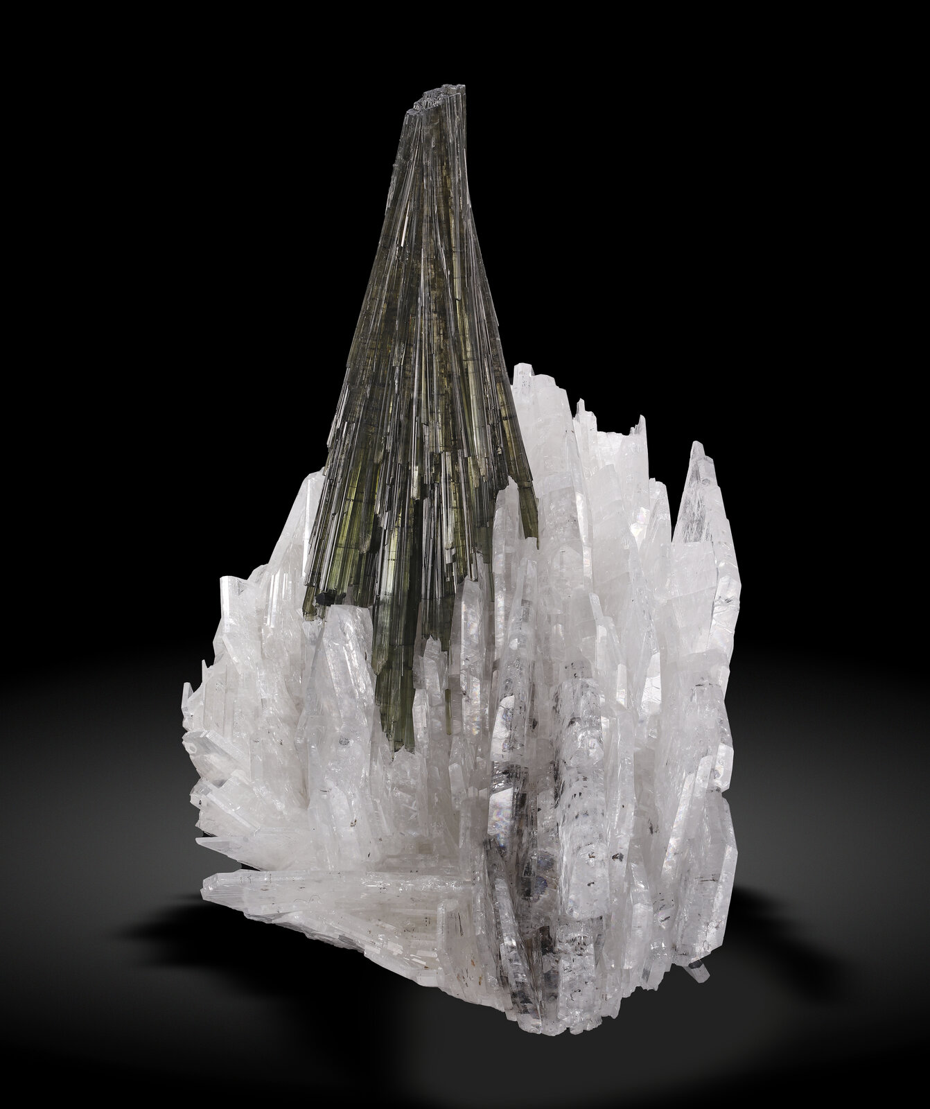 specimens/s_imagesAN7/Elbaite-ETB16AN7_1760_s.jpg