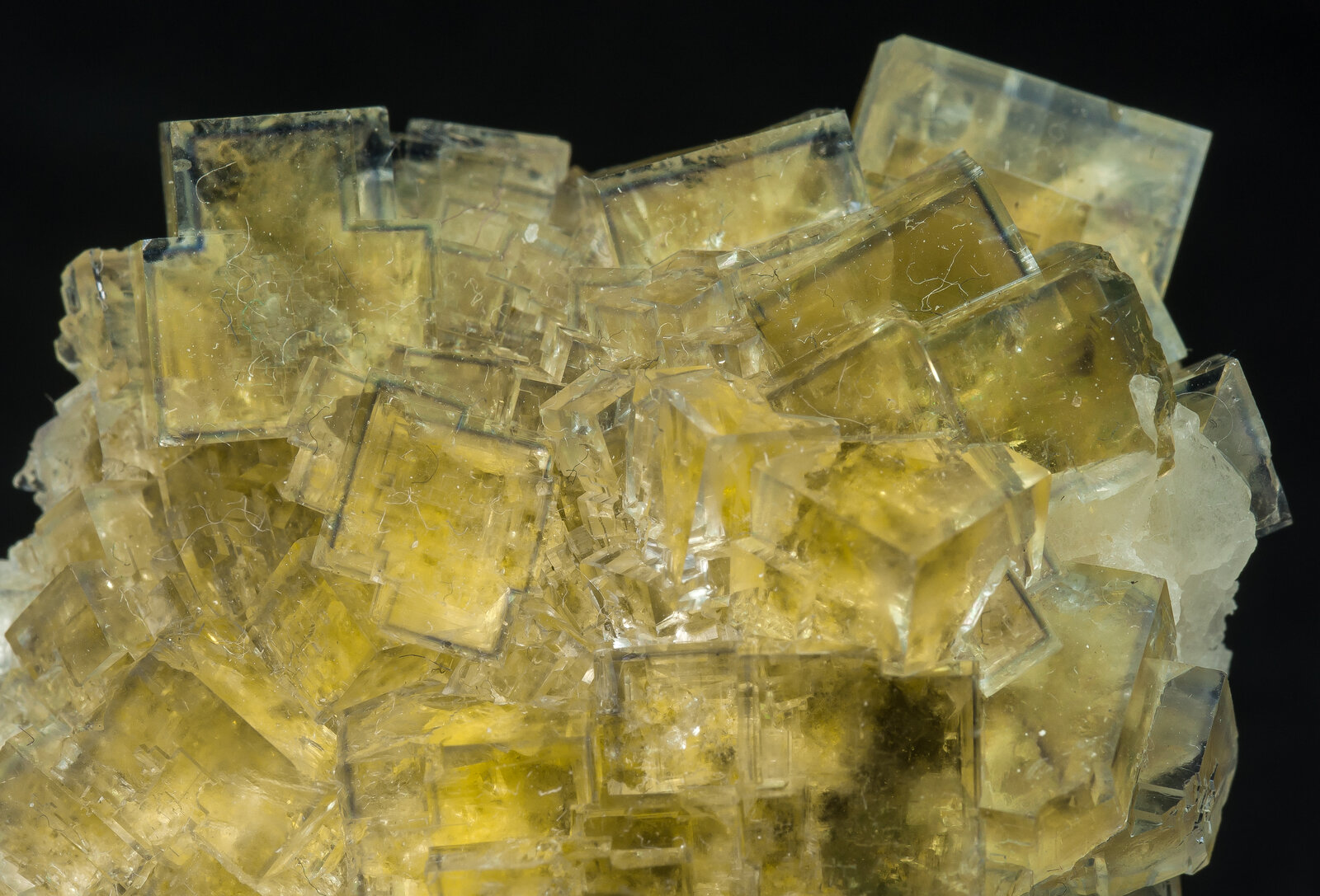 specimens/s_imagesAN7/Fluorite-EFF46AN7d.jpg