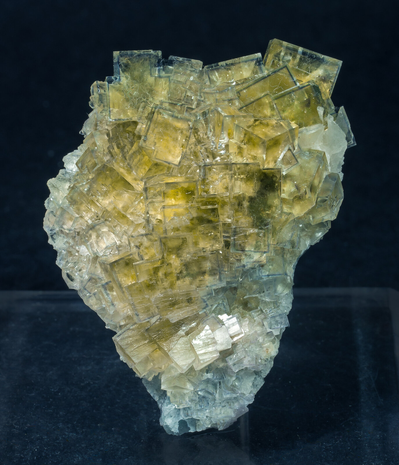 specimens/s_imagesAN7/Fluorite-EFF46AN7s.jpg