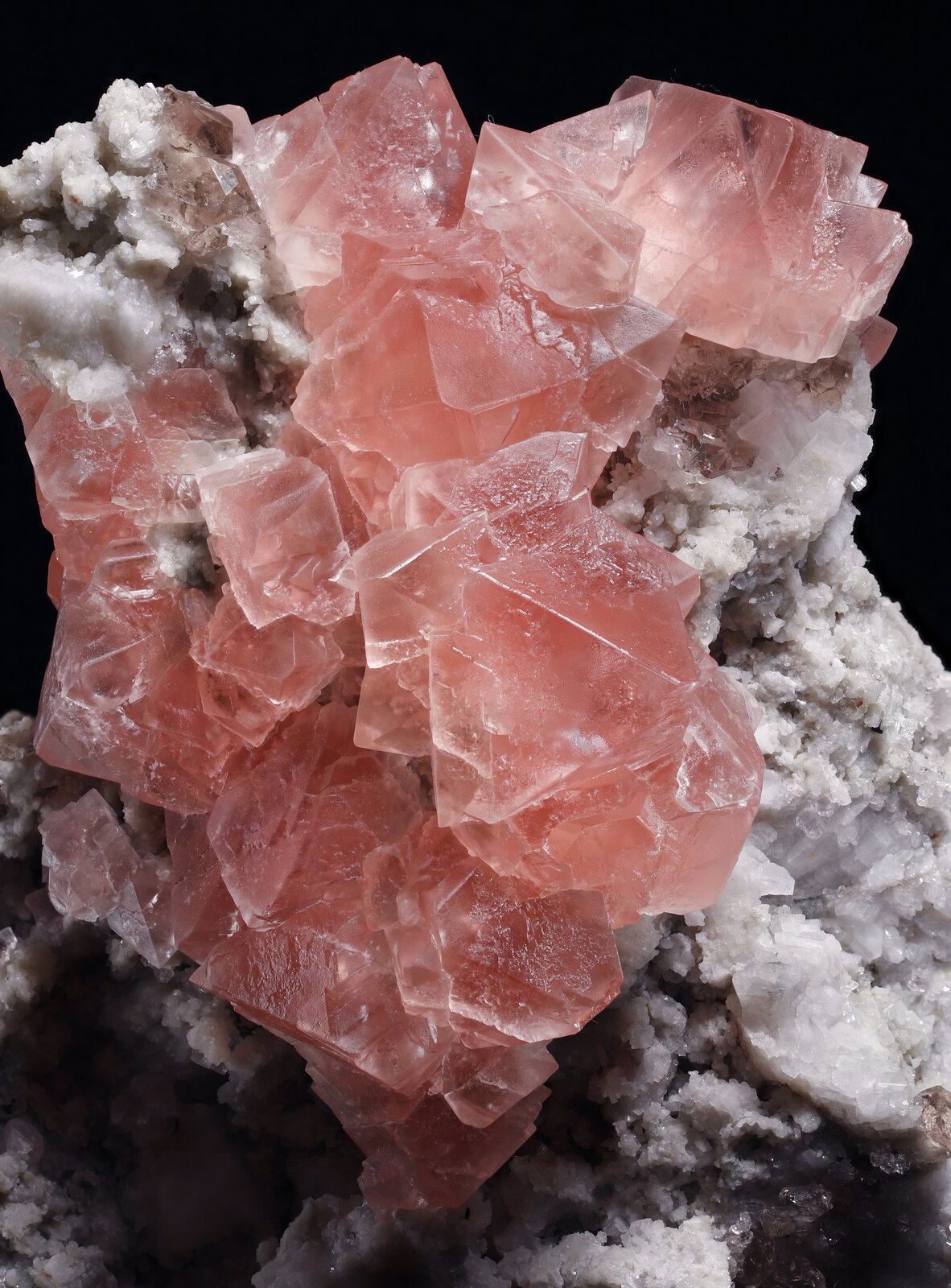 specimens/s_imagesAN7/Fluorite-ERM94AN7_0072_d.jpg