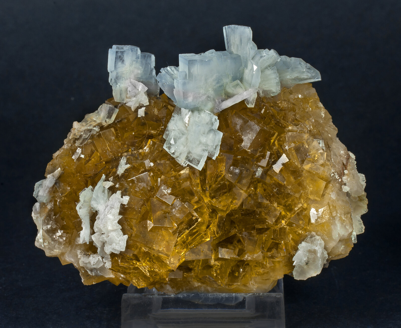 specimens/s_imagesAN7/Fluorite-NFJ57AN7f.jpg