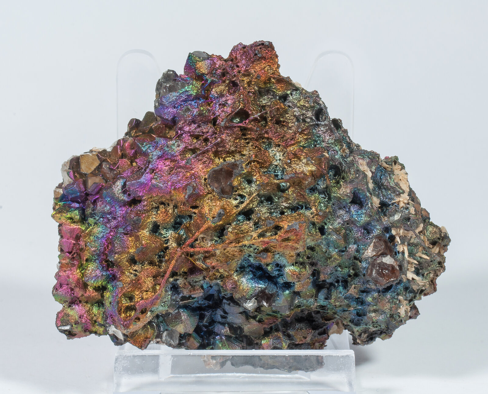 specimens/s_imagesAN7/Goethite-JFD34AN7f.jpg