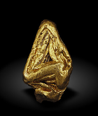 Gold. Front / Photo: Joaquim Callén
