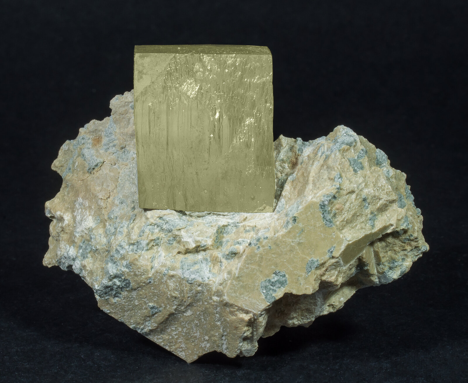 specimens/s_imagesAN7/Pyrite-JFD32AN7f.jpg