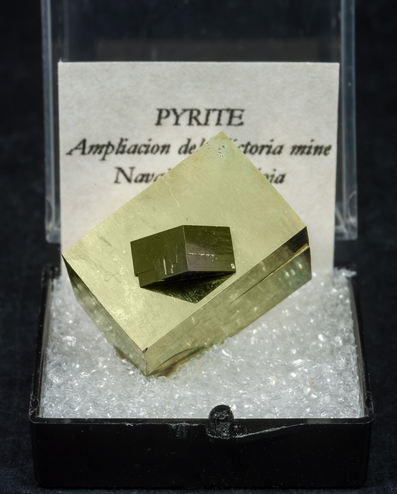 specimens/s_imagesAN7/Pyrite-TML14AN7f1.jpg