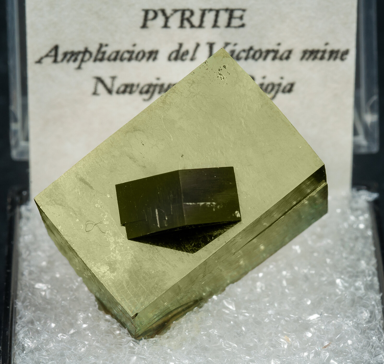specimens/s_imagesAN7/Pyrite-TML14AN7f2.jpg