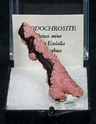 Rhodochrosite on Hisingerite.