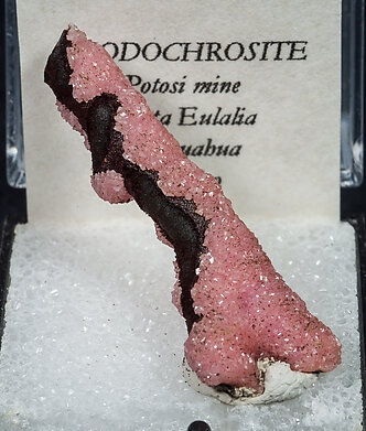 Rhodochrosite on Hisingerite. Front