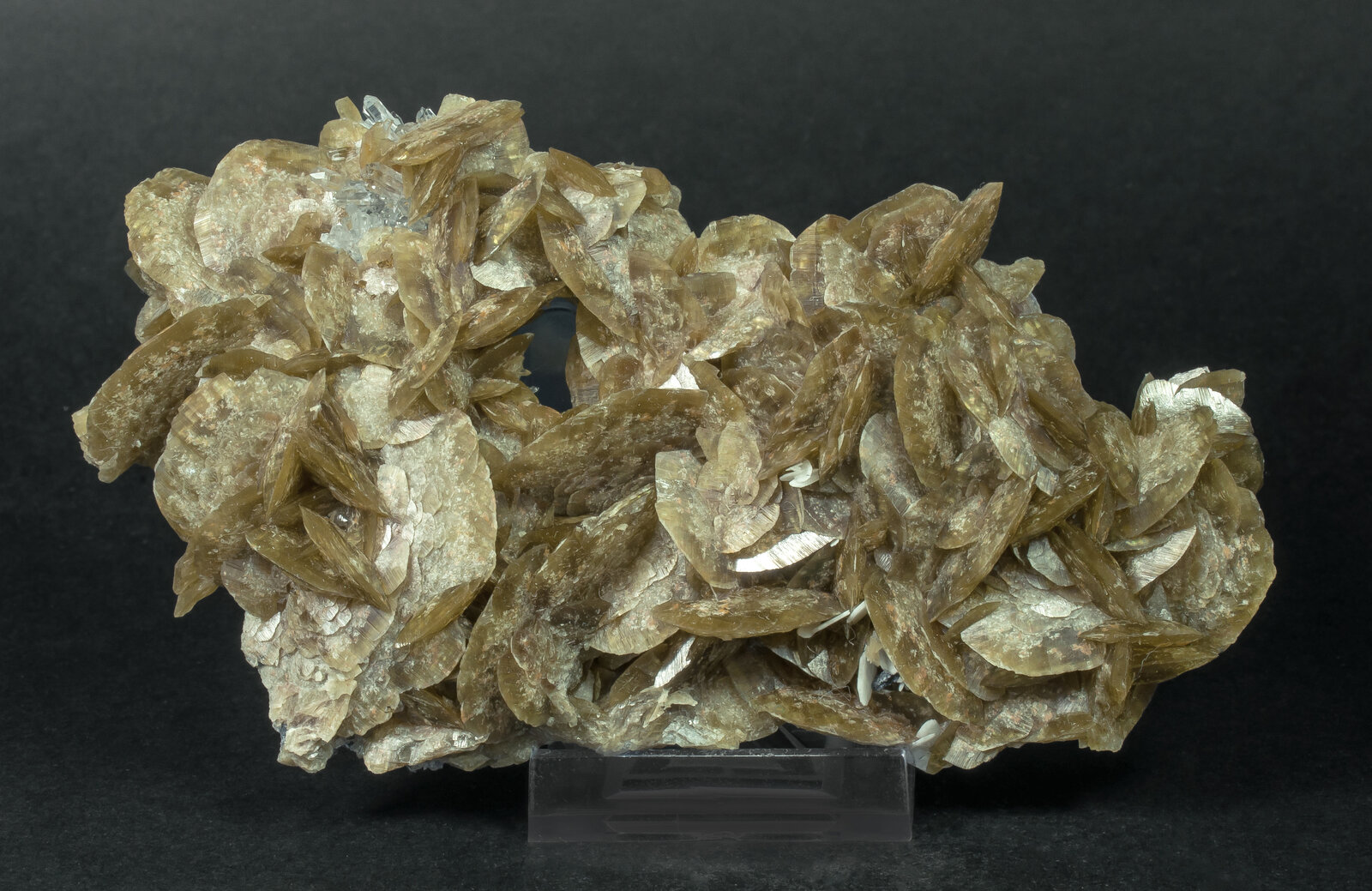 specimens/s_imagesAN7/Siderite-EJM27AN7f.jpg