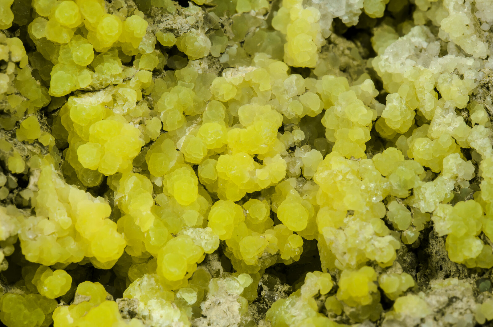 specimens/s_imagesAN7/Smithsonite-TFM98AN7d1.jpg