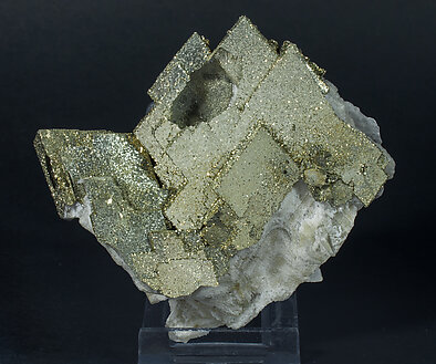 Pyrite perimorphic of Baryte. Front