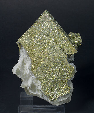 Pyrite perimorphic of Baryte. Front