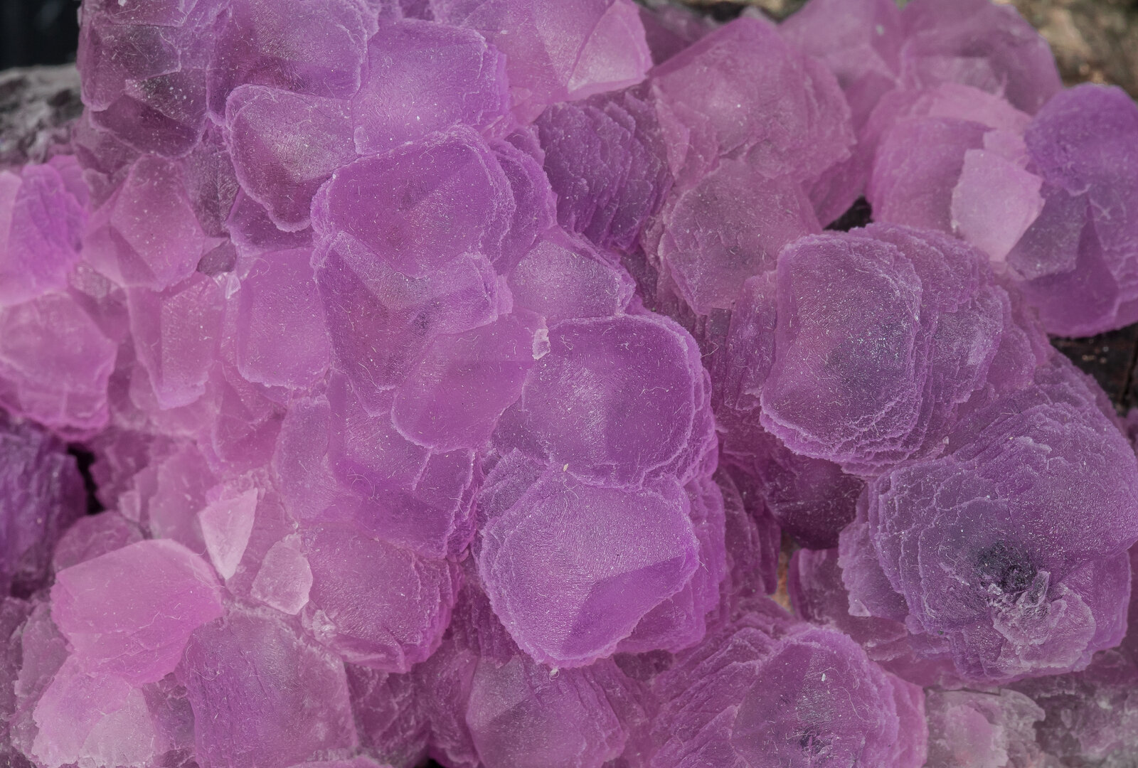 specimens/s_imagesAN8/Cobaltoan_Calcite-JFD54AN8d.jpg