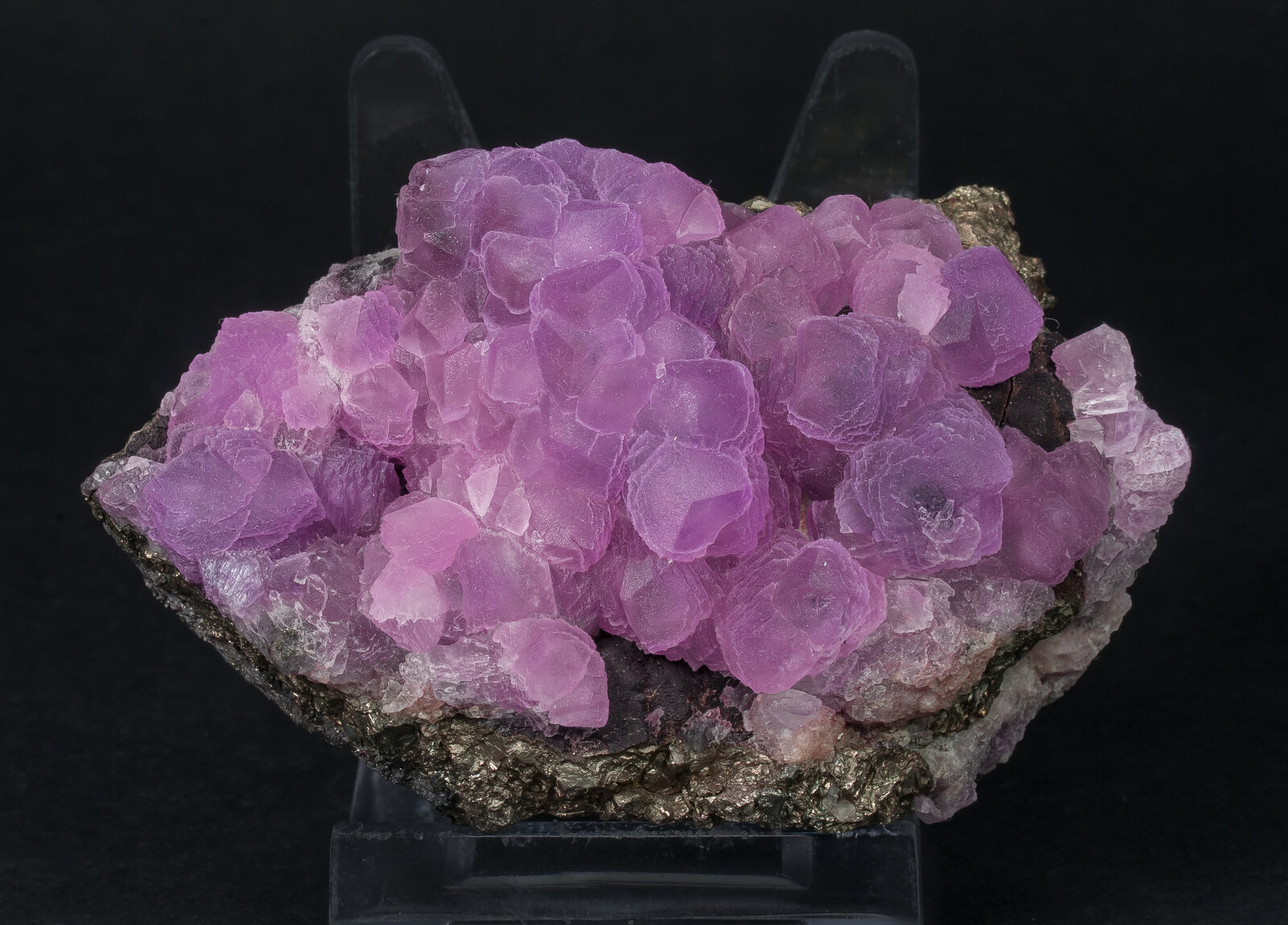 specimens/s_imagesAN8/Cobaltoan_Calcite-JFD54AN8f.jpg