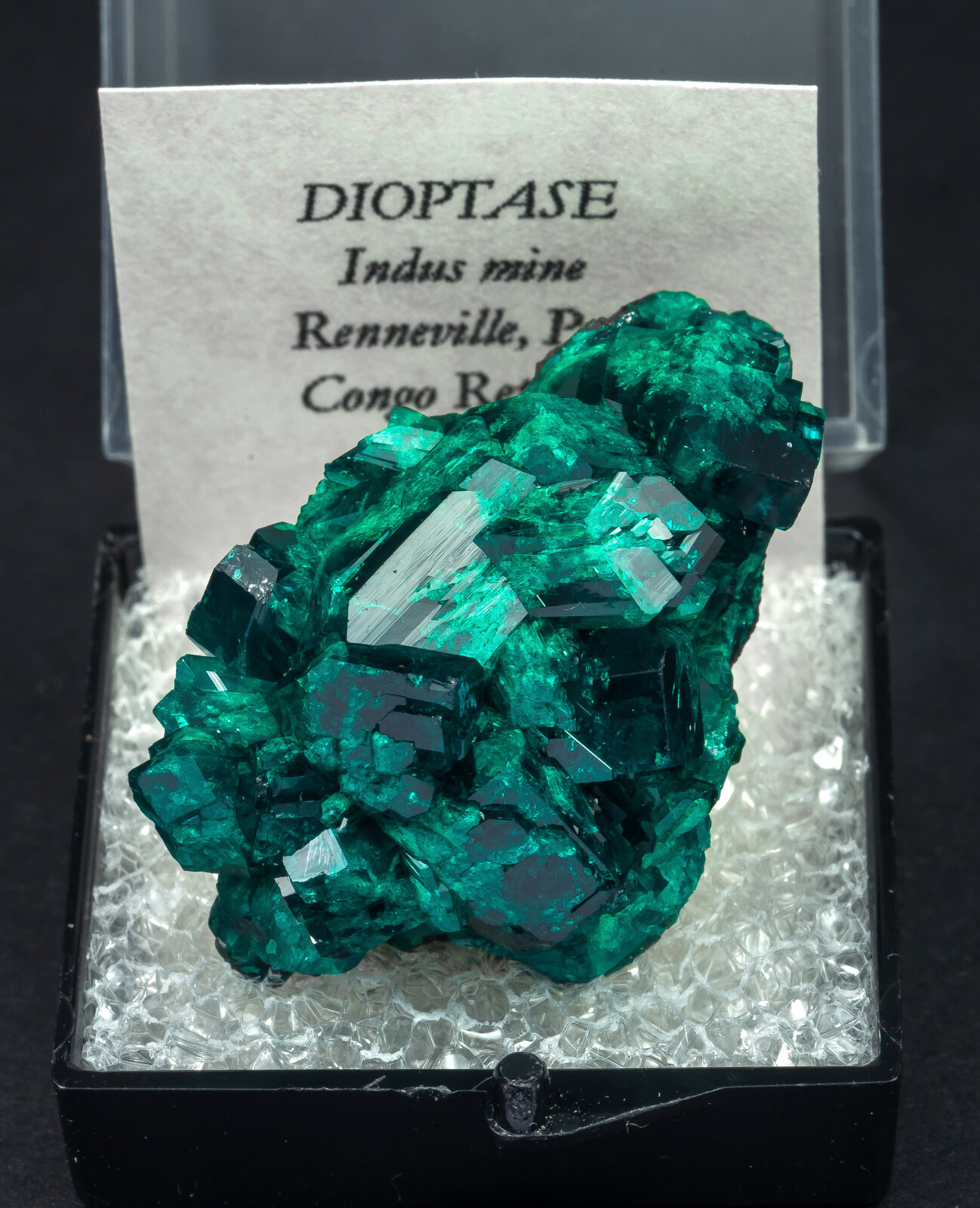 specimens/s_imagesAN8/Dioptase-TTB46AN8f1.jpg