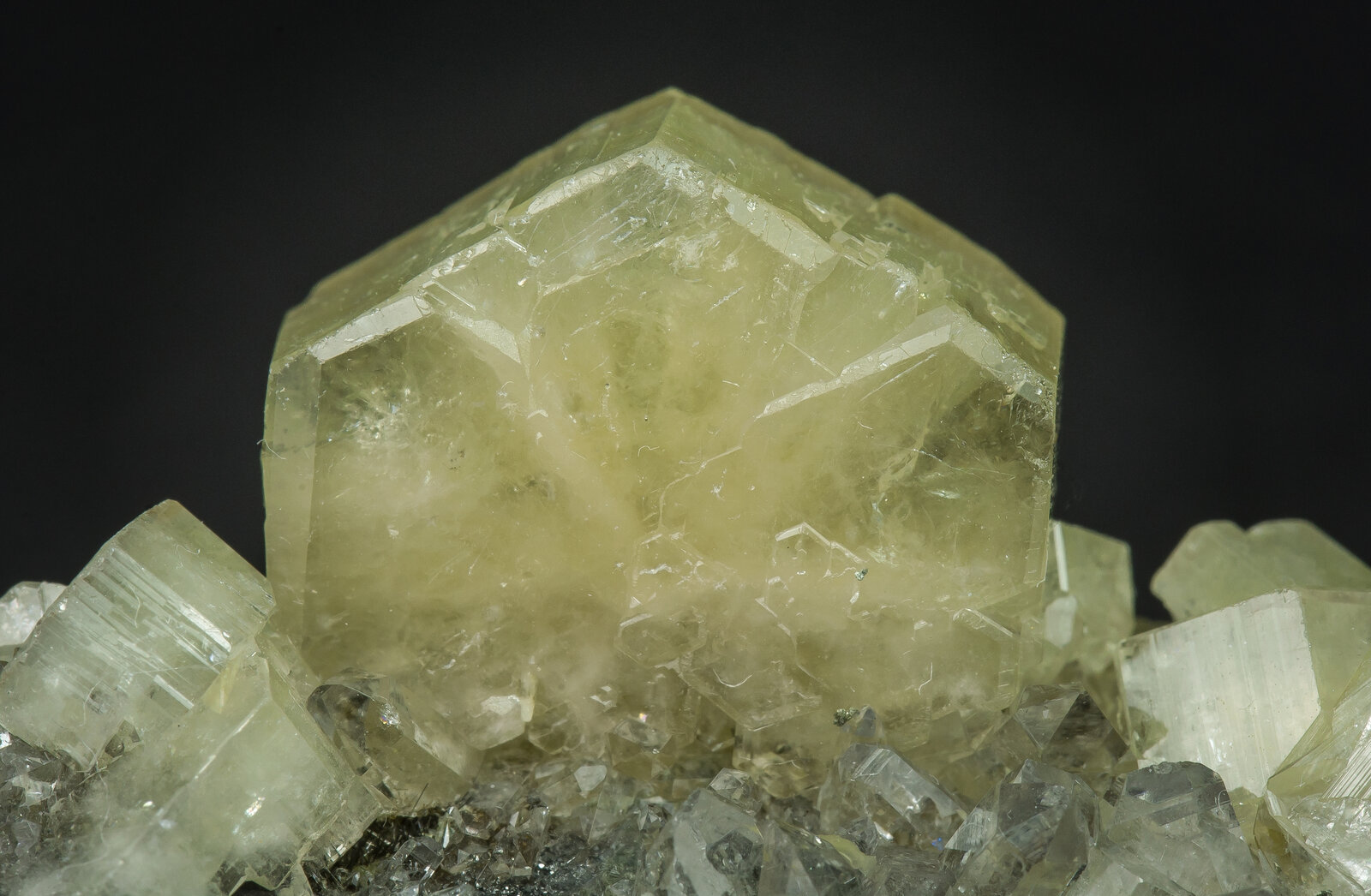 specimens/s_imagesAN8/Fluorapatite-JFD49AN8d.jpg