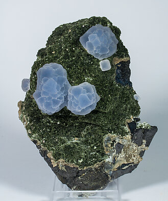 Fluorite with Chlorite, Muscovite, Ferberite and Siderite. 