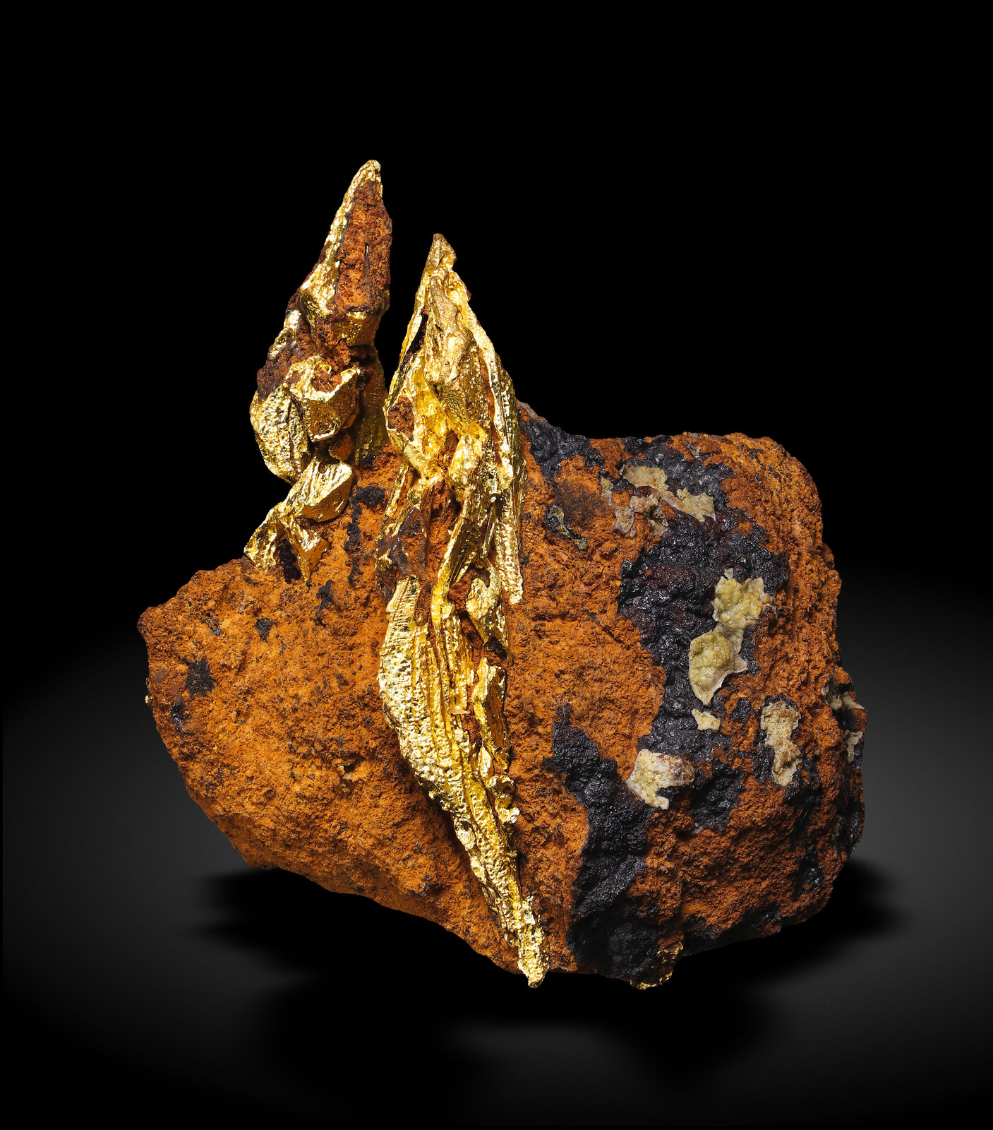 specimens/s_imagesAN8/Gold-EFA91AN8_0288_s.jpg