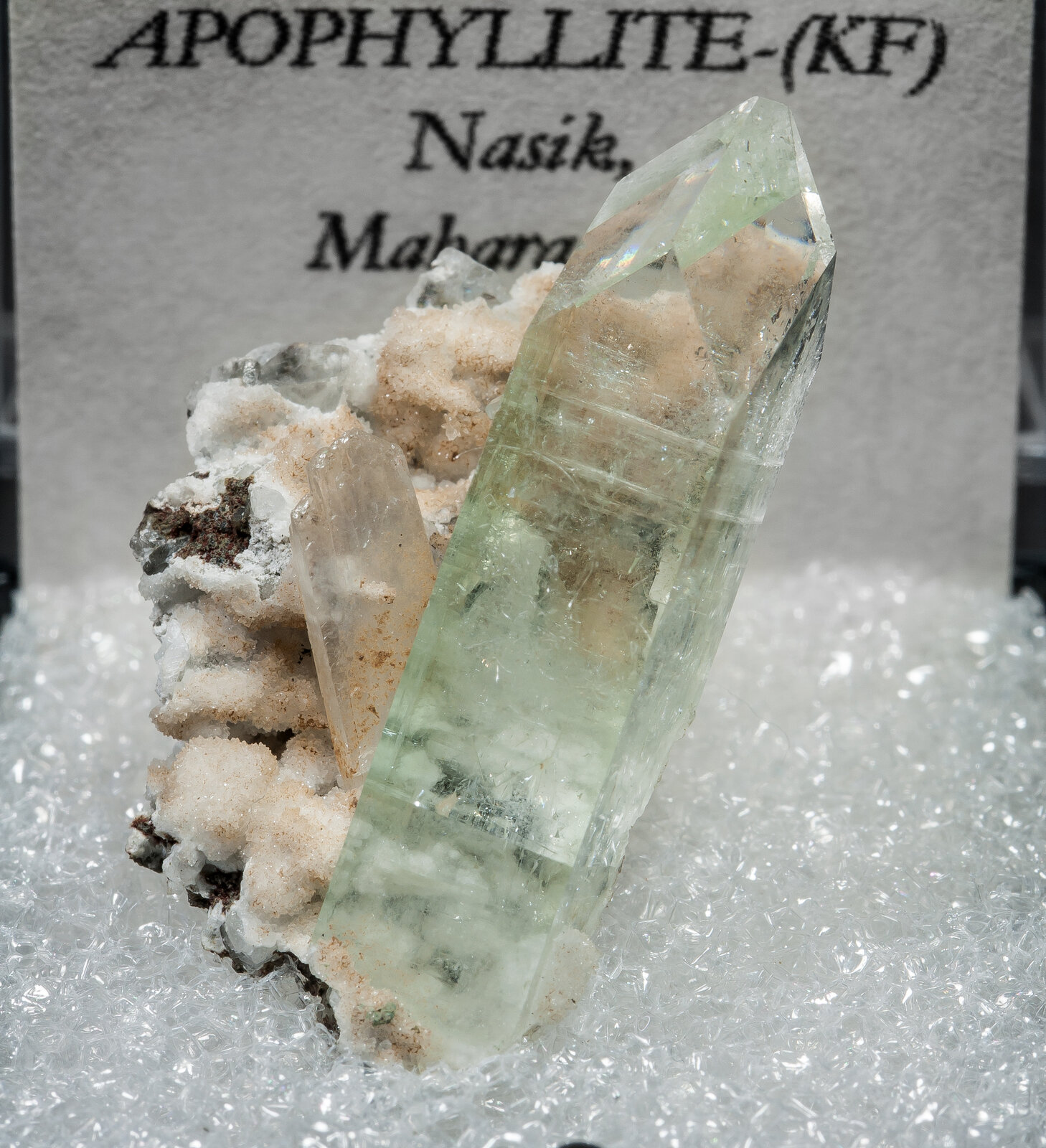 specimens/s_imagesAN8/Hidroxiapophyllite-K-TBL11AN8f2.jpg