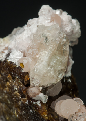 Imayoshiite with Bultfonteinite, Tobermorite (Group) and Andradite. 