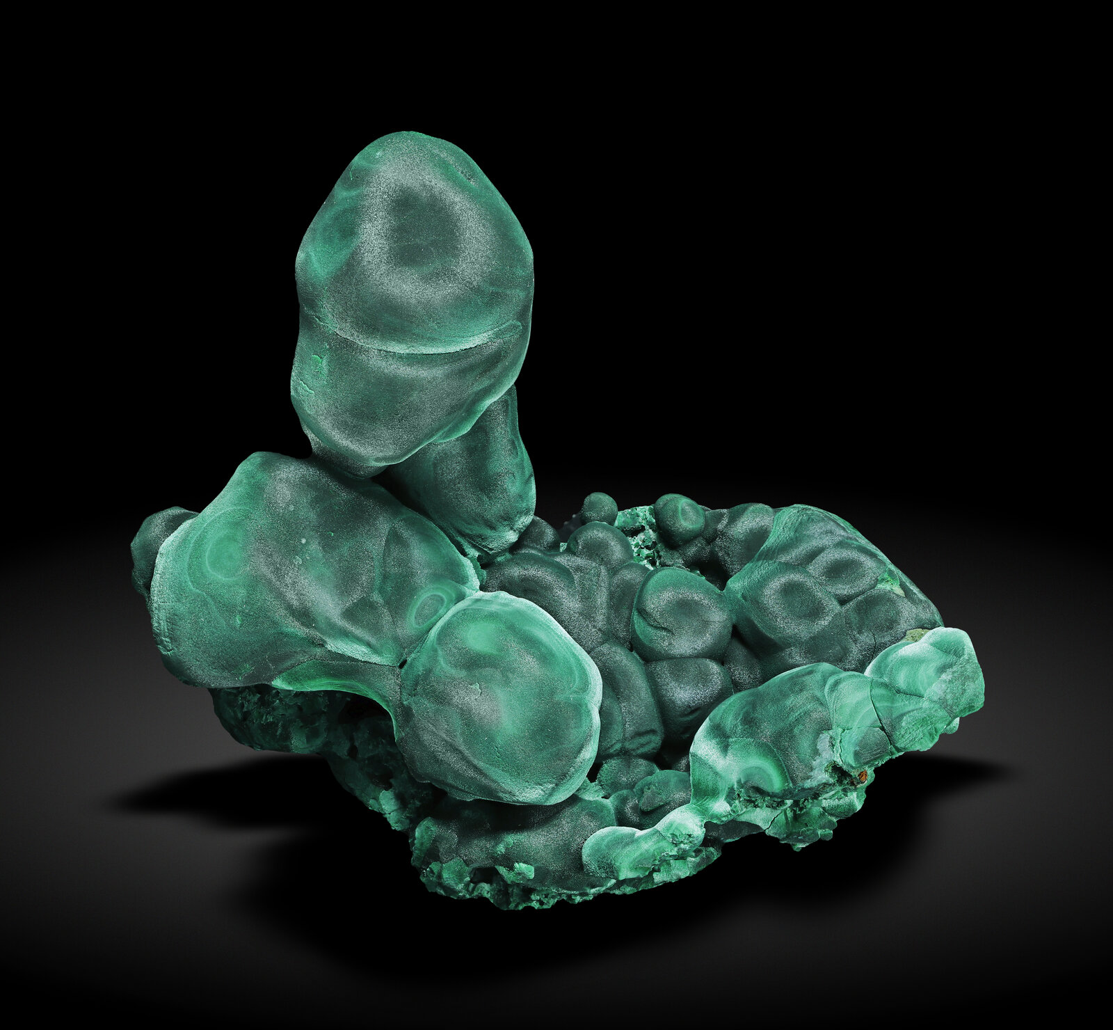 specimens/s_imagesAN8/Malachite-ERB50AN8_1948_f.jpg