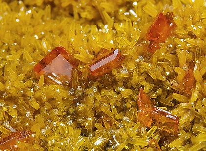 Wulfenite on Pyromorphite. 