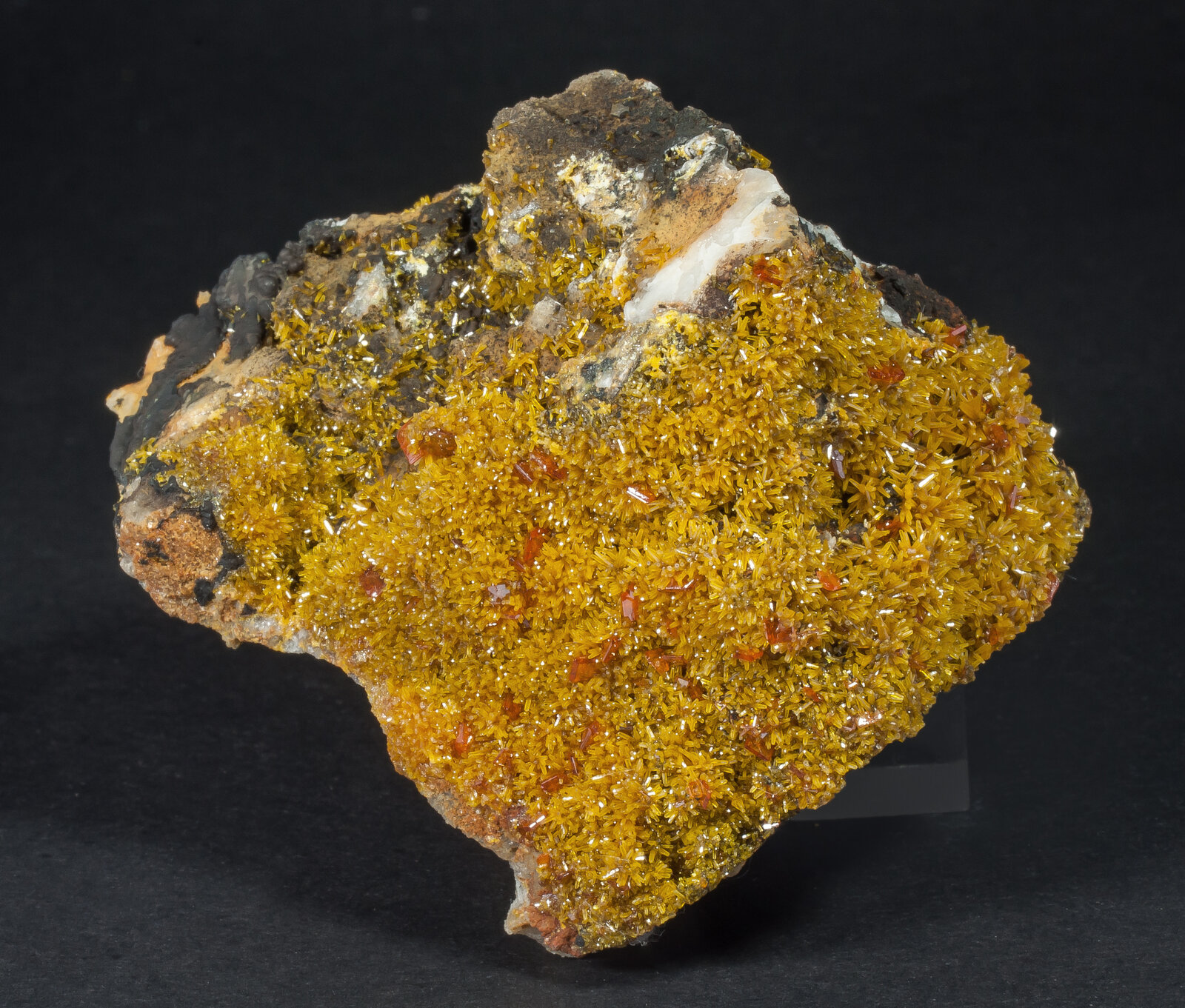 specimens/s_imagesAN8/Pyromorphite-JFD53AN8f.jpg