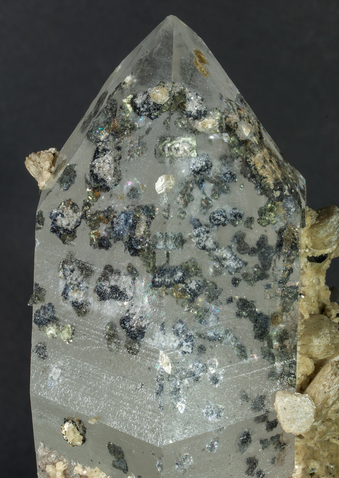 specimens/s_imagesAN8/Quartz-JFD52AN8d1.jpg