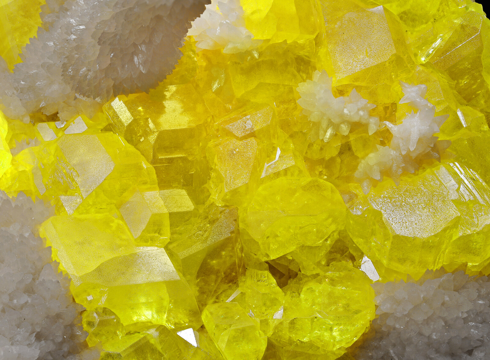 specimens/s_imagesAN8/Sulphur-MFM3AN8_2278_d.jpg