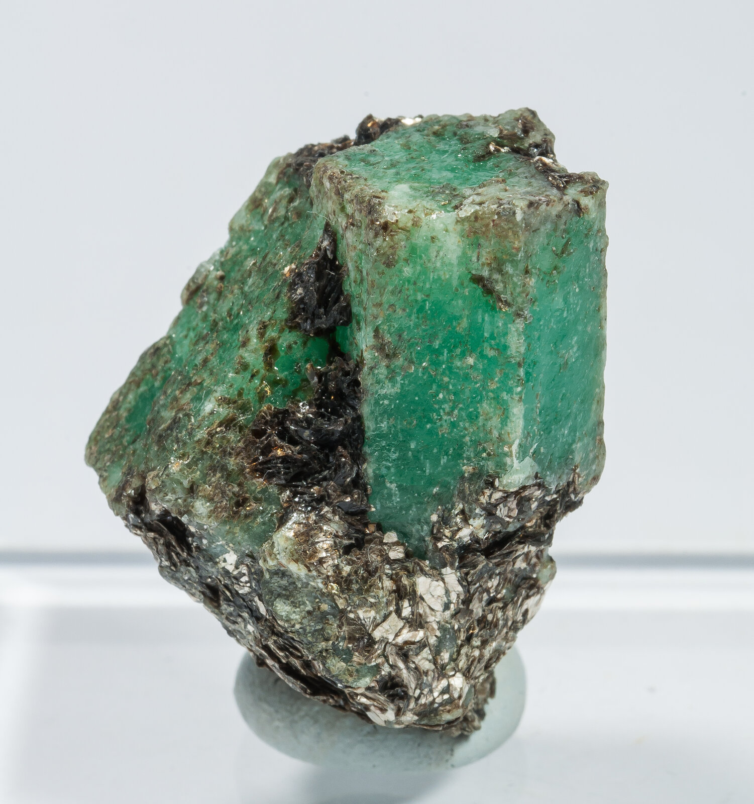 specimens/s_imagesAN9/Beryl_emerald-NFM14AN9f.jpg