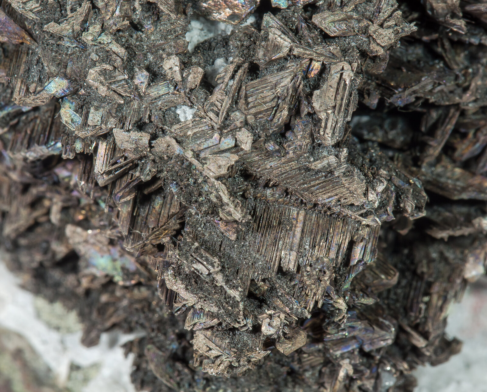 specimens/s_imagesAN9/Bismuth-MMB26AN9d.jpg