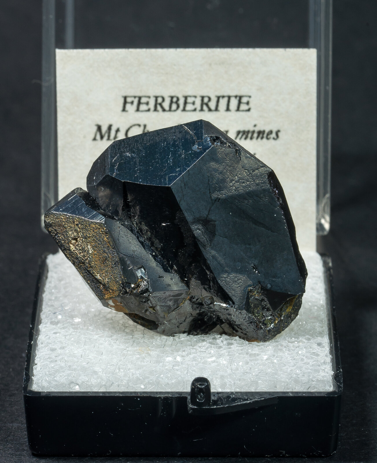specimens/s_imagesAN9/Ferberite-TEL64AN9f1.jpg