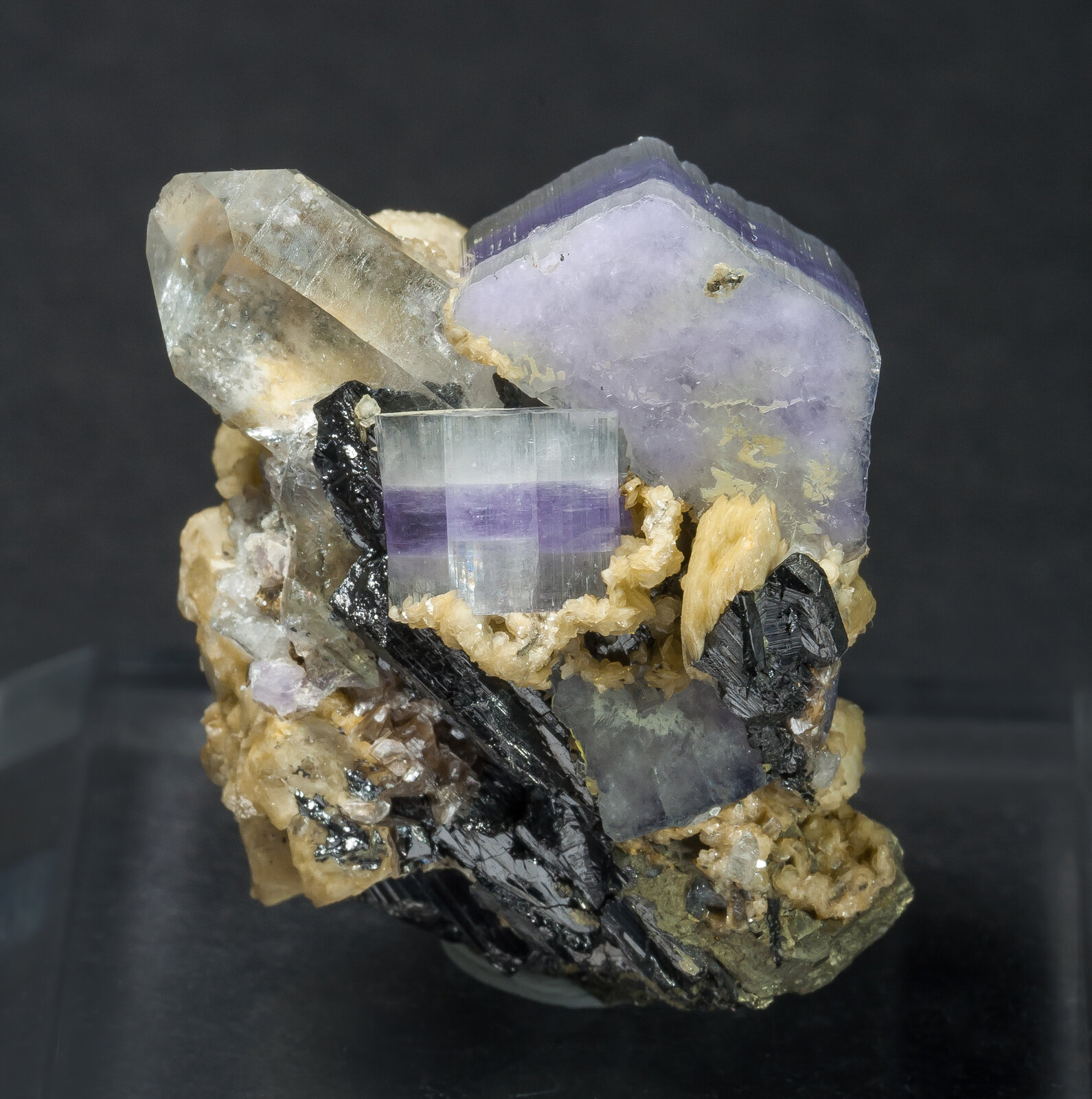 specimens/s_imagesAN9/Fluorapatite-JFD62AN9r.jpg