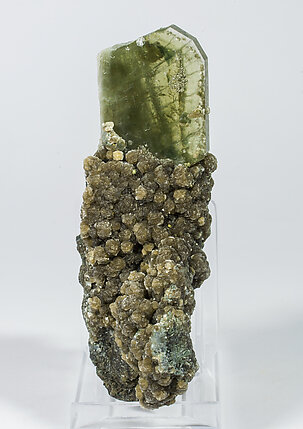 Fluorapatite with Muscovite. Rear