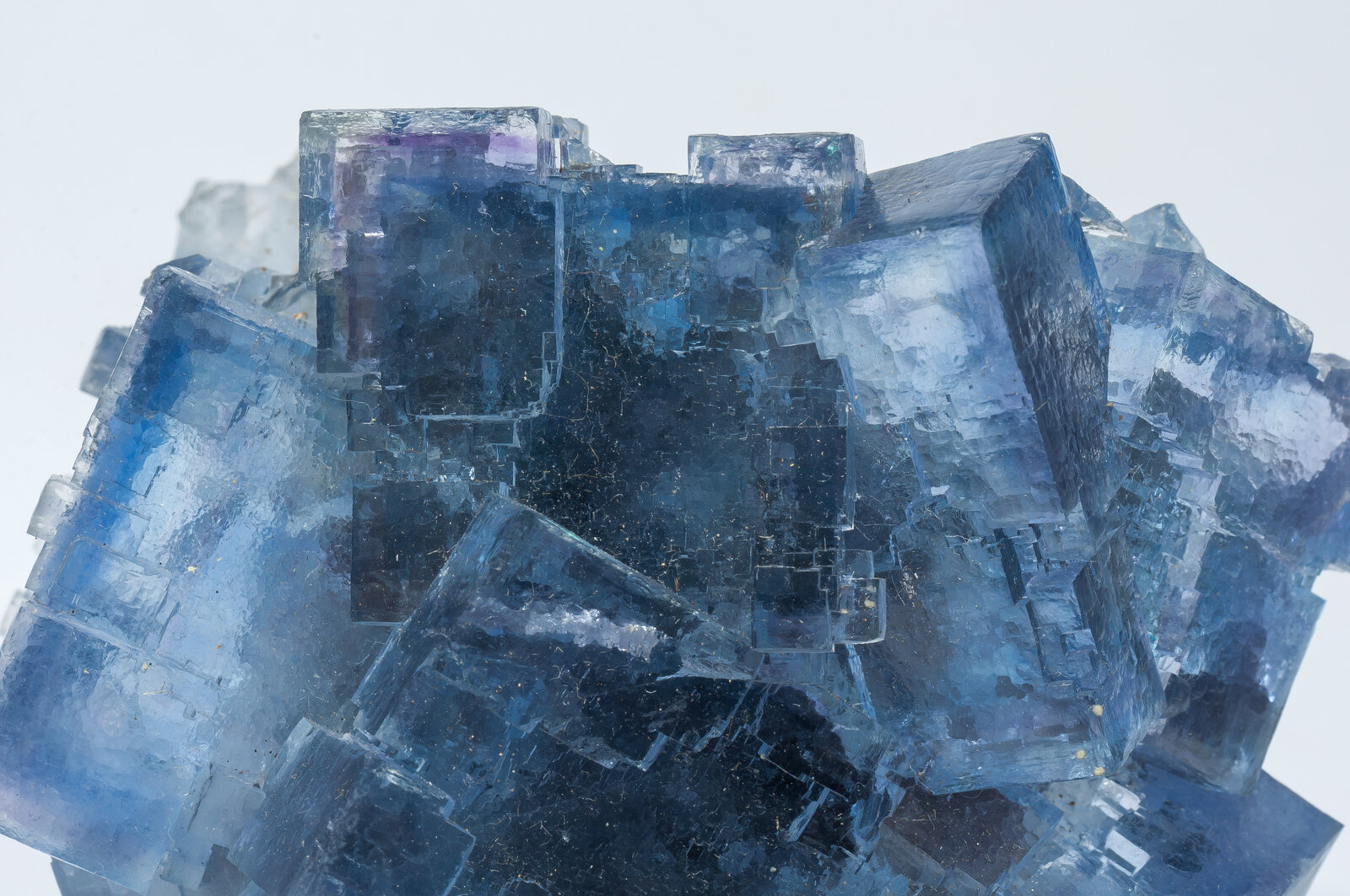 specimens/s_imagesAN9/Fluorite-JFD60AN9d.jpg