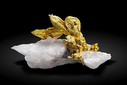 Gold (spinel twin) on Quartz. Front / Photo: Joaquim Callén