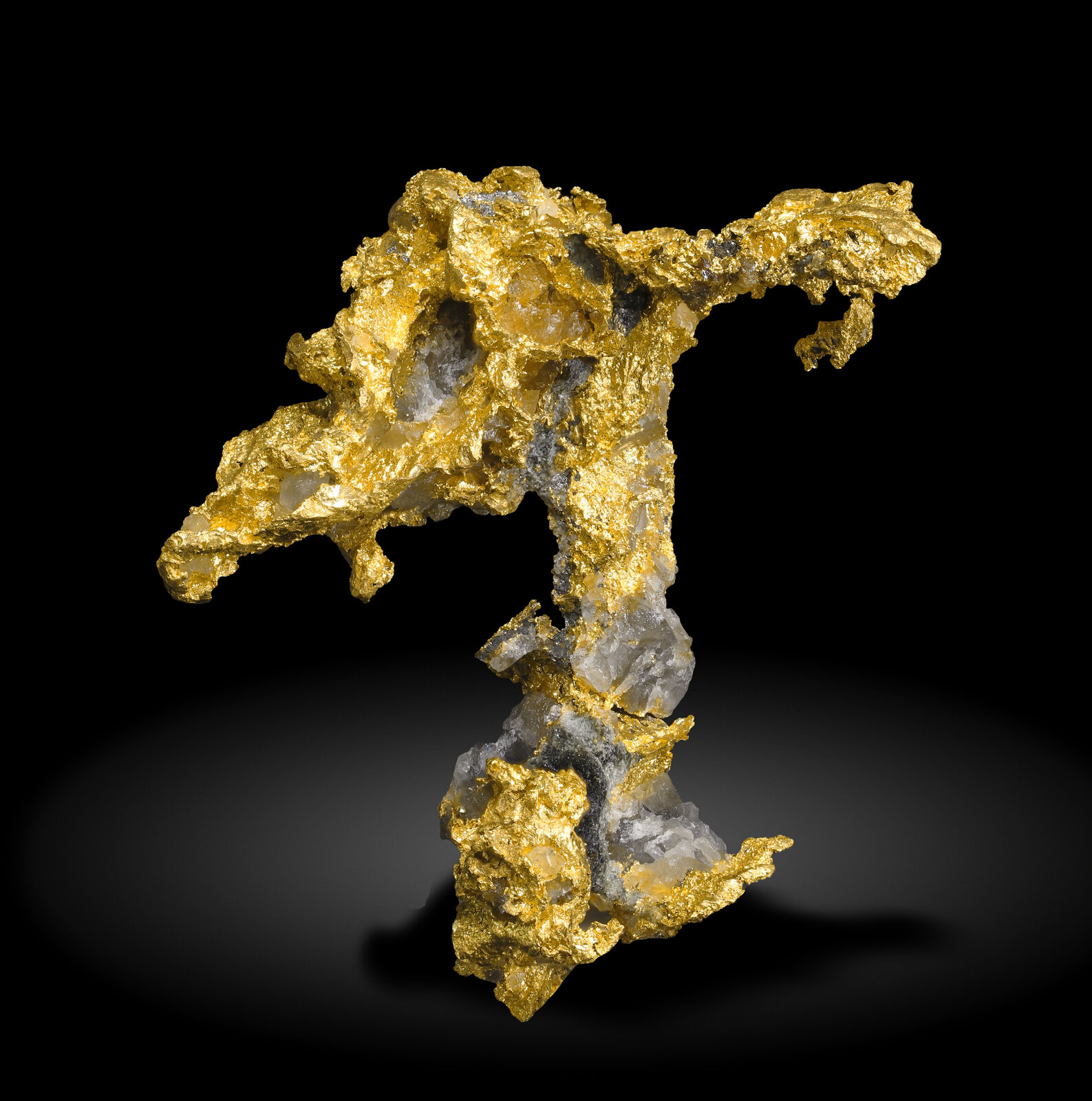 specimens/s_imagesAN9/Gold-MXJ57AN9_1107_f.jpg