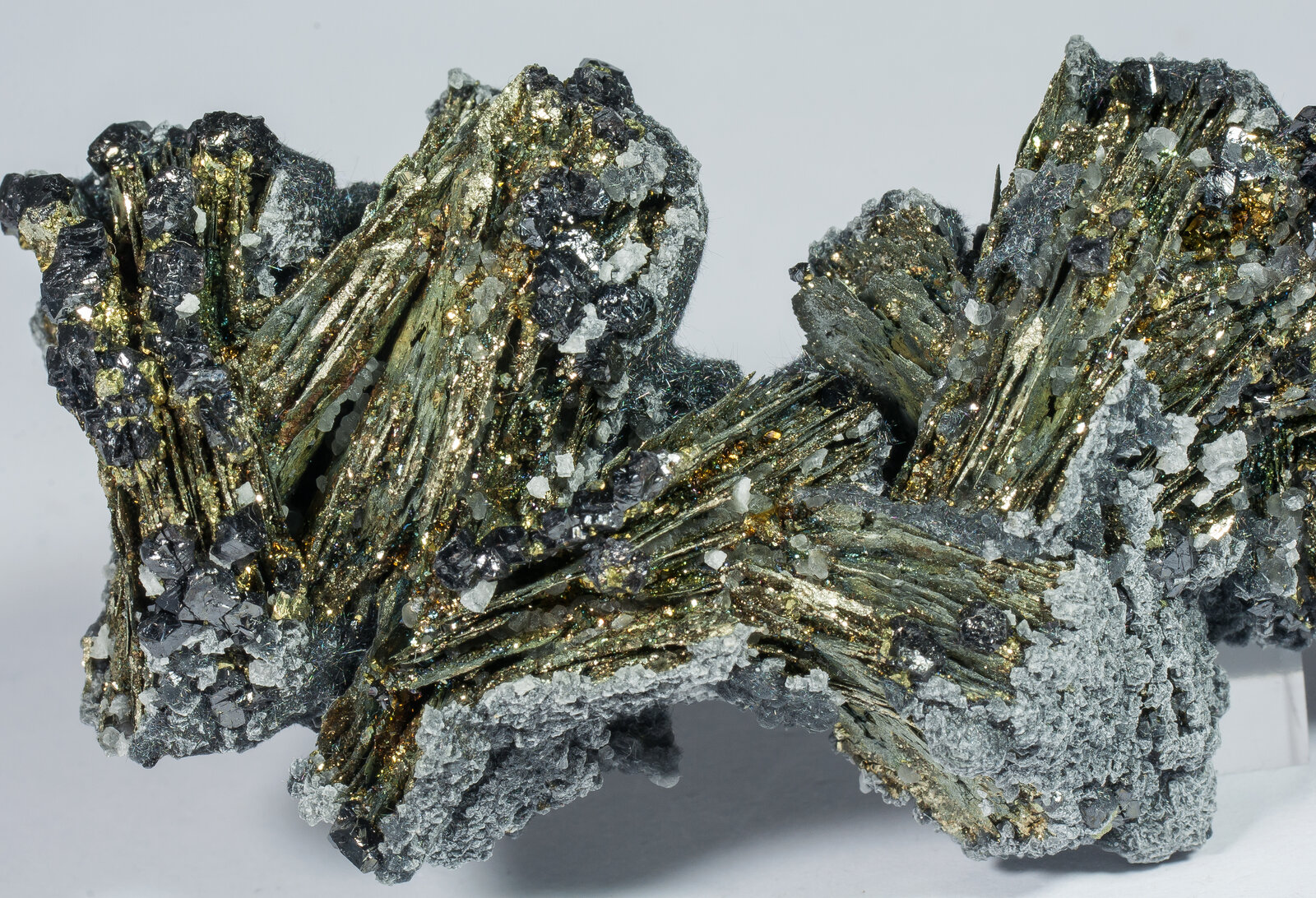 specimens/s_imagesAN9/Pyrite-MFR96AN9d.jpg